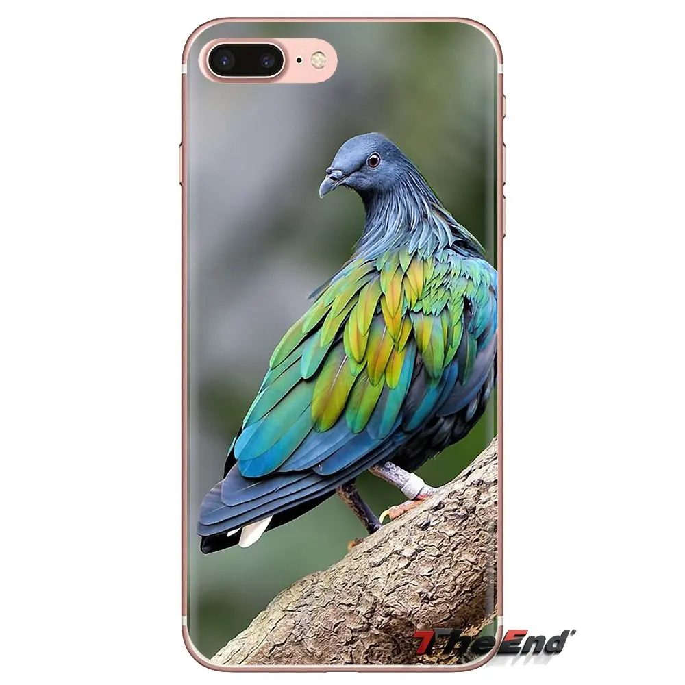 For Xiaomi Redmi 4A S2 Note 3 3S 4 4X 5 Plus 6 7 6A Pro Pocophone F1 Silicone Phone Skin Cover Pastel Pigeon Free beautiful bird |