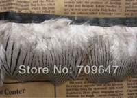 height 5 6cm silver pheasant feather fringe natural color 2 yards trim for craftfeather decorationpheasant feathers