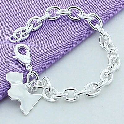 dog tag Лидер продаж, ювелирные изделия из стерлингового серебра 925 пробы, браслет с замком в виде сердца, высокое качество, женский очаровательный браслет для свадебной вечеринки - Окраска металла: dog tag
