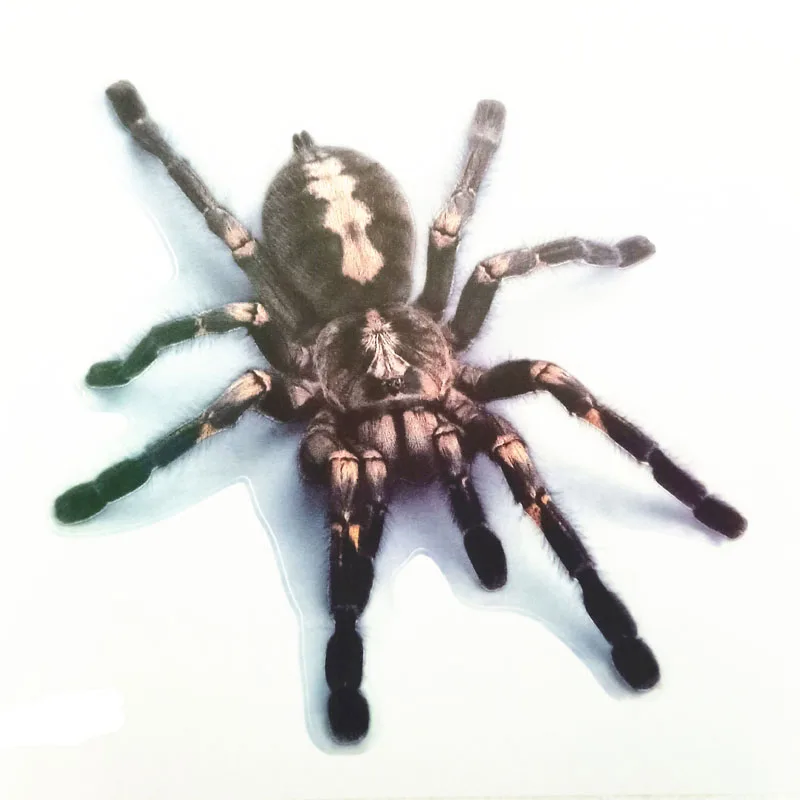 Наклейки для автомобиля 3D наклейки реалистичные животные паук/ящерица/СКОРПИОН