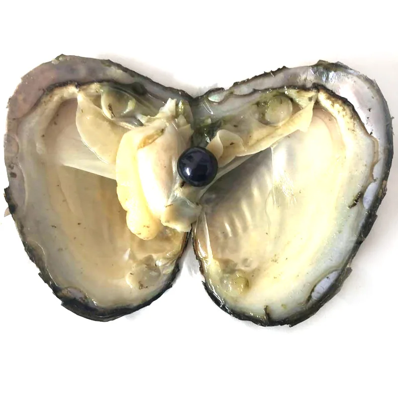 20pcs Single Red 9-10mm Near Round Edison Pearl with Vacuum Packed Oyster Fresh Pearl in Oyster