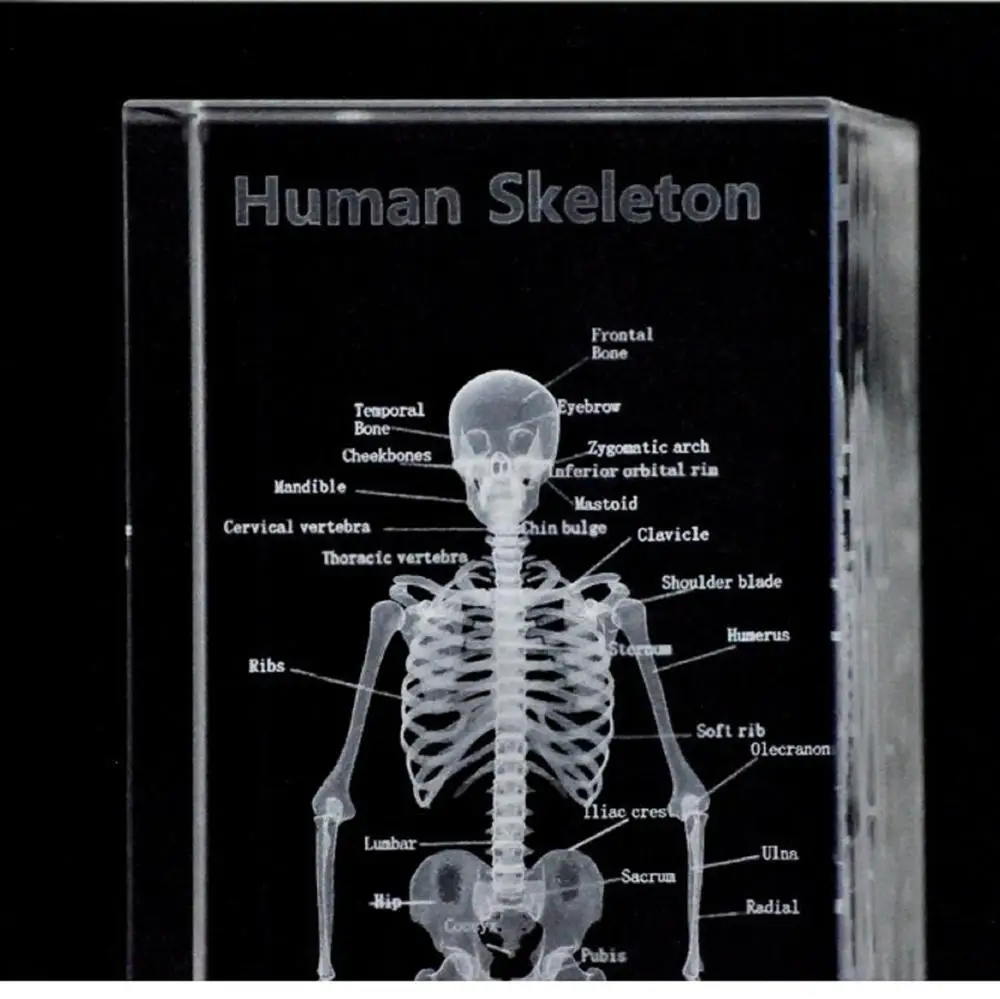 Искусственный кристалл k9 череп скелет прозрачный камень кварц драгоценный