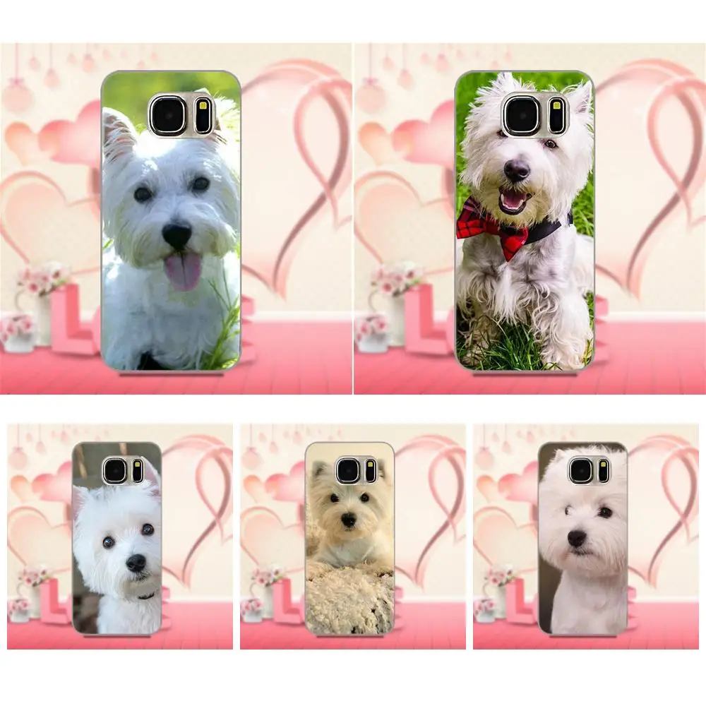 Чехол для телефона West Highland Terrier Dog щенок Galaxy A3 A5 A7 J1 J3 J5 J7 S5 S6 S7 S8 S9 edge Plus 2016 2017
