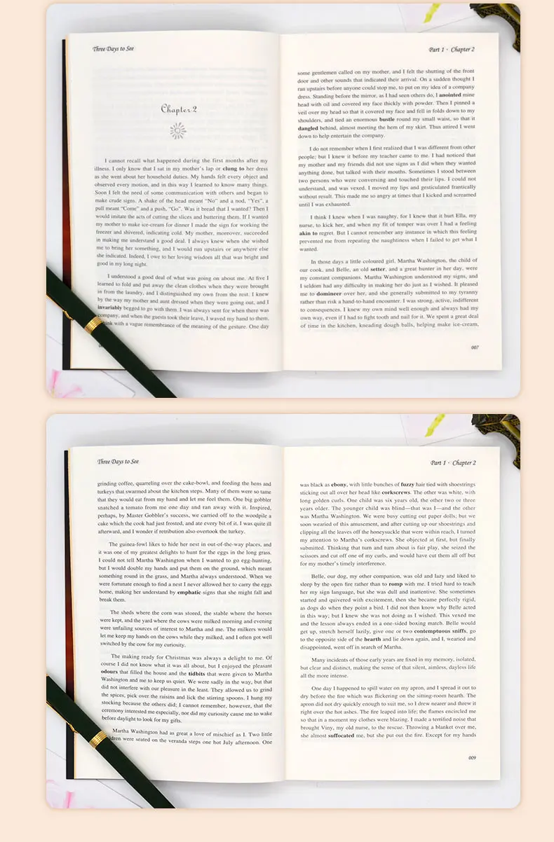 Новое поступление, три дня, чтобы увидеть: книга на английском для взрослых студентов, детей, подарок, всемирно известная книга, английский