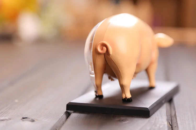 Модель анатомической свиньи модель скелета размерная анатомическая научная