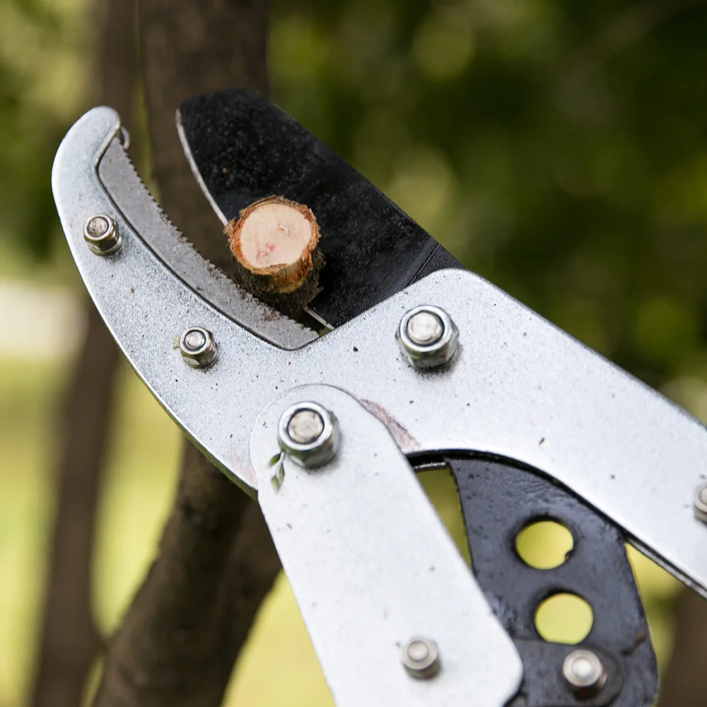Li Zhou лопперы высокие ветви секаторные ножницы стрейч из алюминиевого сплава