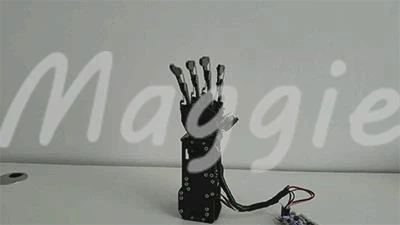 Bionic робот рука/большой крутящий момент привод палец независимое движение/обучение