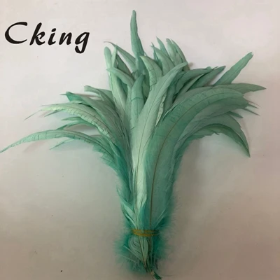 mint green 100 шт/партия 30~ 35 см(12~ 14 дюймов) длина окрашенные красные хвостовые перья птиц куриные пары для ремесел ювелирные изделия Головные уборы Аксессуары - Цвет: mint green