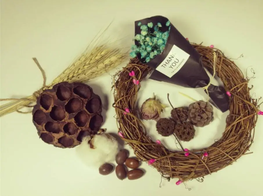 Натуральные сушеные цветы 1 набор растение из акрина сосны лотоса венок