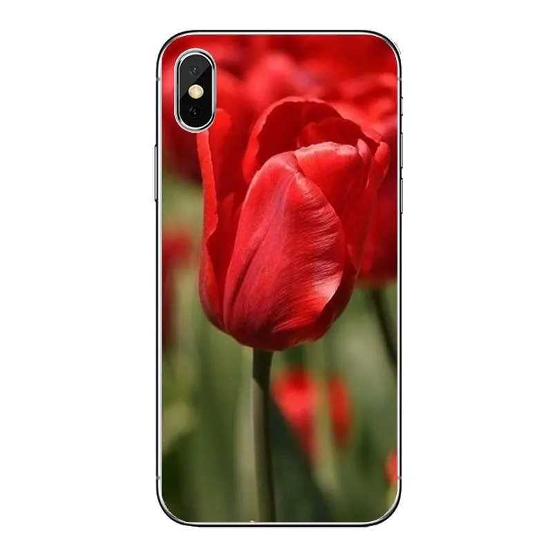 Для samsung Galaxy Note 8 9 S9 S10 A8 A9 Star Lite плюс A6S A9S Синий Весна Красочные тюльпаны прозрачный