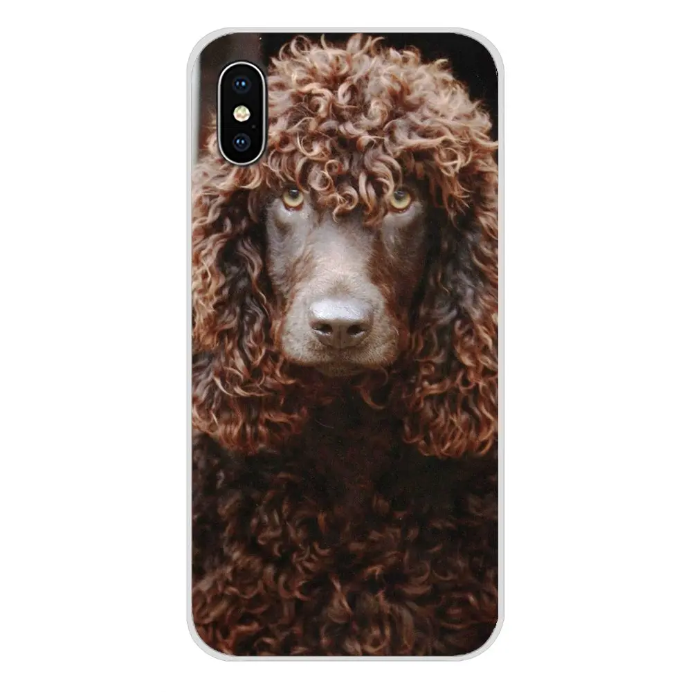 Чехол с рисунком ирландской воды спаниеля из ТПУ для Apple iPhone X XR XS MAX 4 4S 5 5S 5C SE 6 6S 7 8