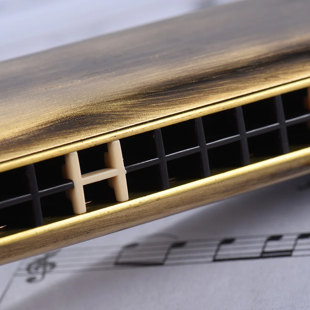 

QIMEI QM24A-14 24 Holes Harmonica Tremolo Mouth Organ Key of C Professional Performance with Box