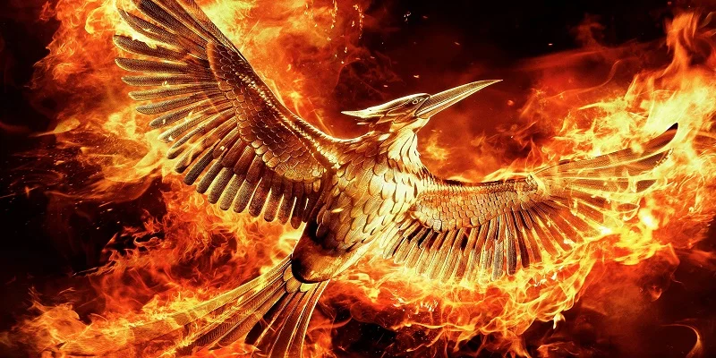 Пляжное полотенце из микрофибры с принтом для Голодных игр 70x140 см | Дом и сад