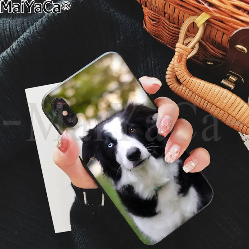 

MaiYaCa cute Border collie Dog Customer High Quality Phone Case for iPhone 6S 6plus 7 7plus 8 8Plus X Xs MAX 5 5S XR