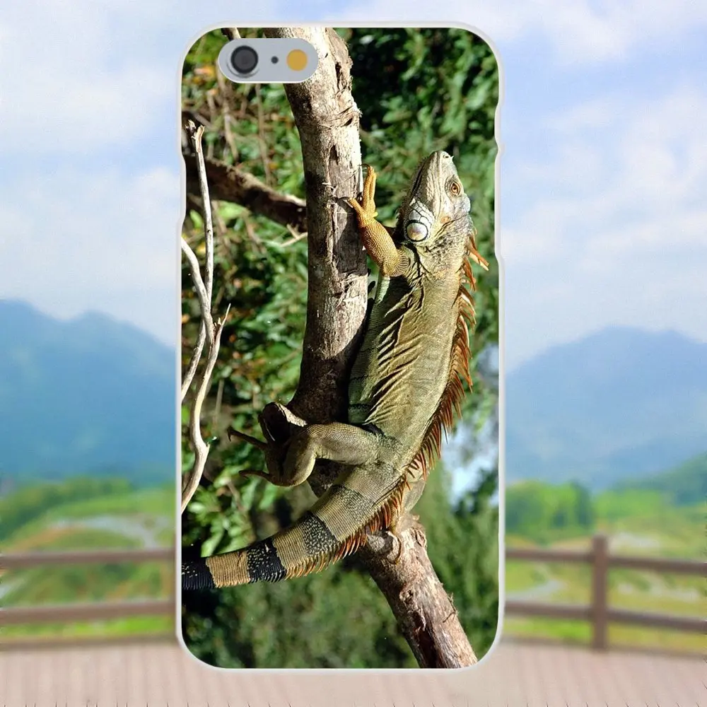 Чехол из ТПУ для Xiaomi Redmi Note 2 3 3S 4 4A 4X5 5A 6 6A Pro Plus чехол Iguana Lizard Animal Бразилия Iguacu