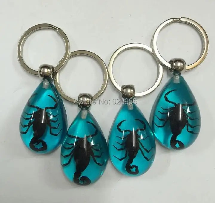 10 PCS Real Dark Black Scorpion Insect Aqua Blue Resin Specimen Keychain | Украшения и аксессуары
