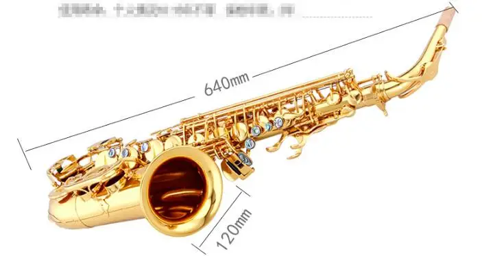 

Chinese Brand Original Taishan TSAS-767 E flat Alto Saxophone Gold Lacquer Abalone Port Button for Adult and Child