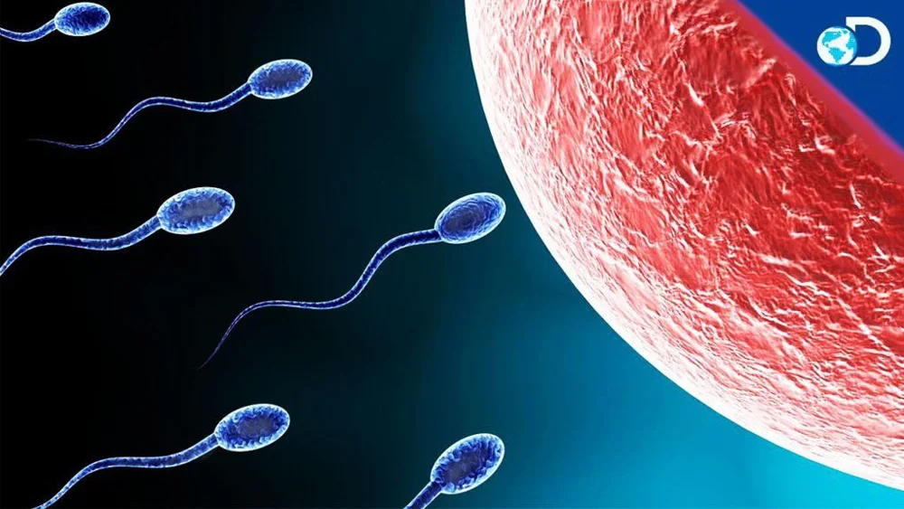 Антикварная серебряная брошь с отворотом для сперматозоидов, IVF Science/медицина, подарок для доктора/медсестры, медицинские ювелирные изделия