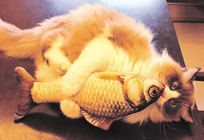 6 стилей новая мода съемный котенок домашней собаки кошка мята игра рыба плюшевые