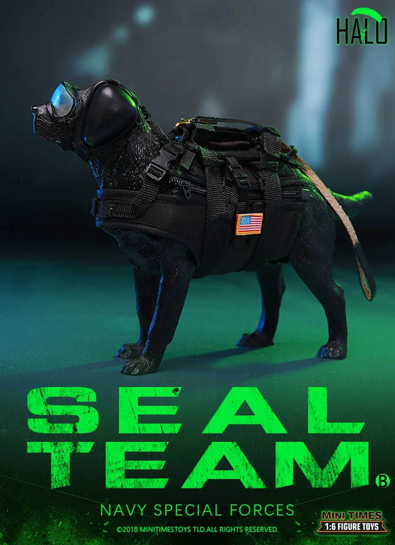 Minitimes игрушки 1/6 M013 sealteam уплотнение капитан K9 ночное прыгать действия Рисунок