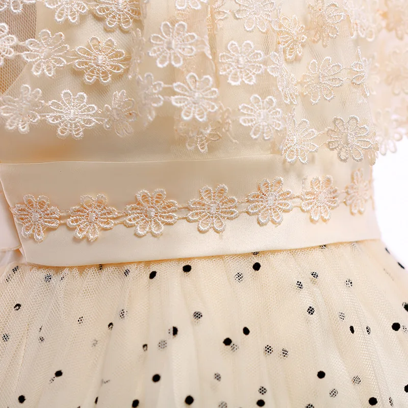 Elegant Lace Princess Dress For Girls Kids Pearls Dot Ball Gown Wedding Birthday Party Girl Dresses Mesh Children Clothing TZ042 | Детская