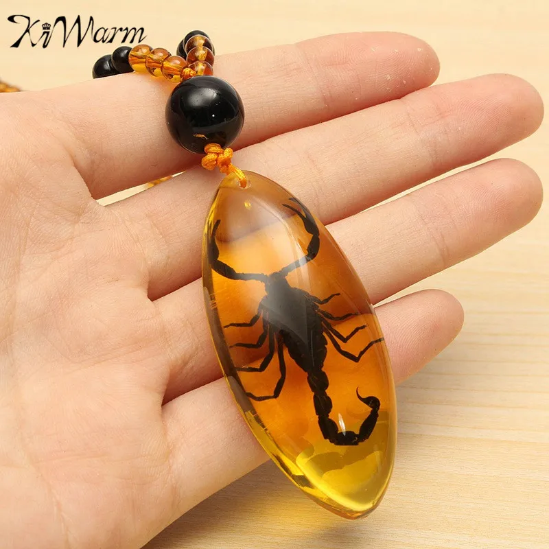 KiWarm натуральные насекомые янтарные Китайские специальные скорпионы включение в