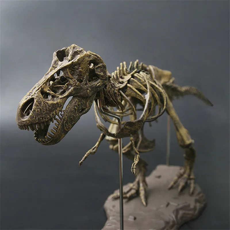 4D динозавр Fossil Skull модель игрушки 28 &quot/70 см Собранный кости наборы скелет