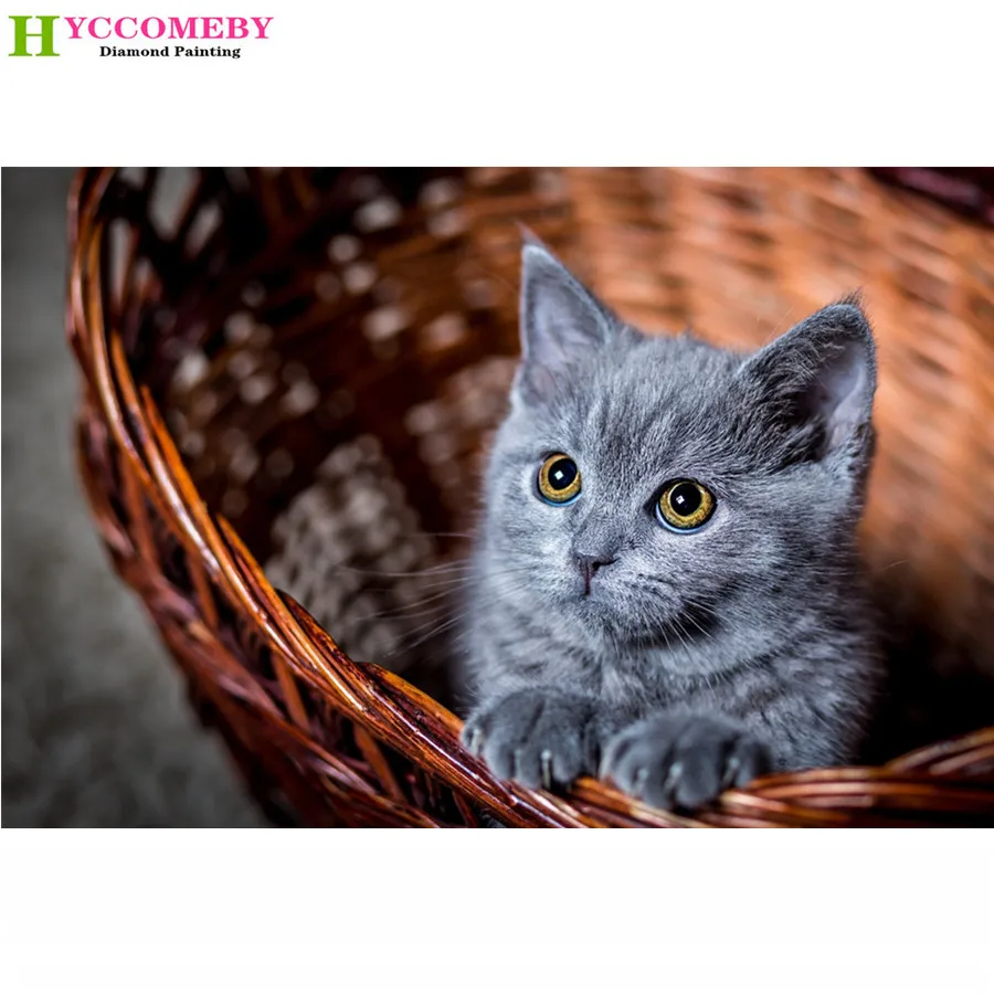 5D DIY Алмазная Картина Вышивка крестом животное милый серый котенок в корзине