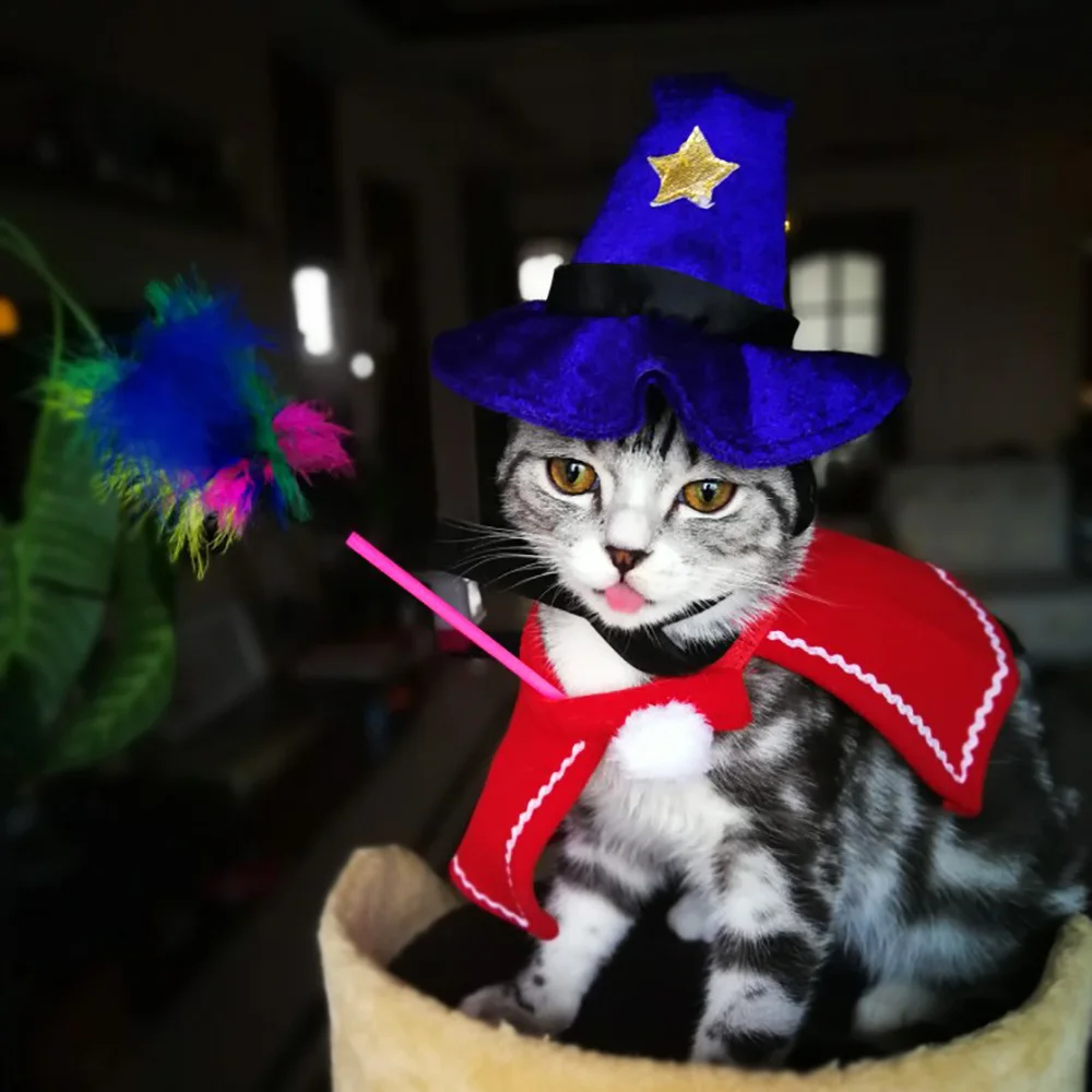 Шляпа ведьмы для кошек на Хэллоуин фиолетовая Кепка рождественские аксессуары