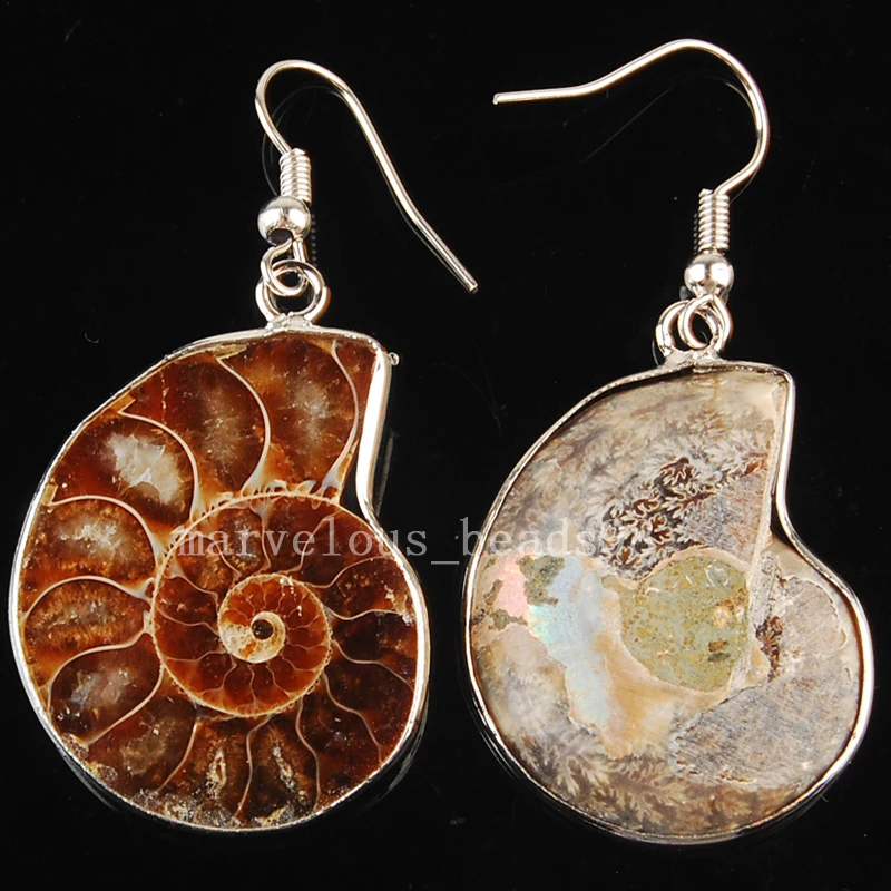 Бесплатная доставка модные серьги из натурального аммонита MC3584|ammonite earrings|earrings