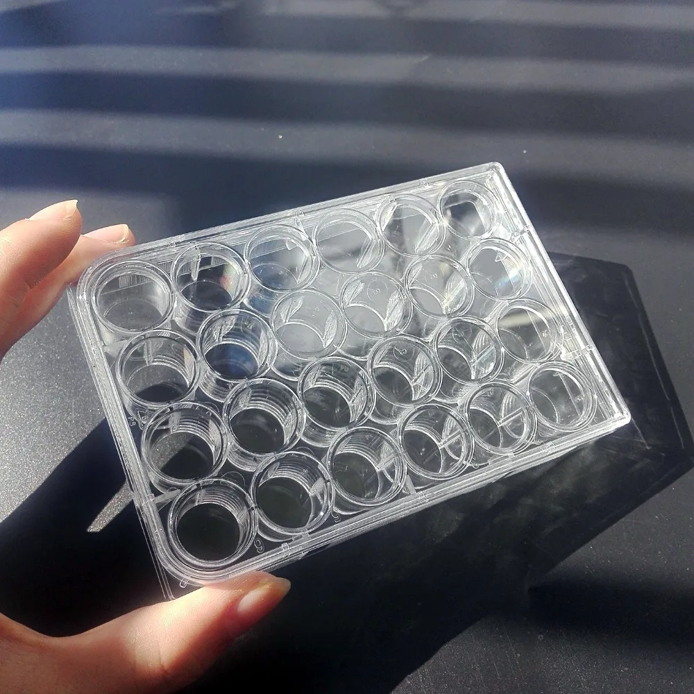 5 шт. Одноразовая чашка Петри с 24 отверстиями блюдо бактериальной культуры посуда
