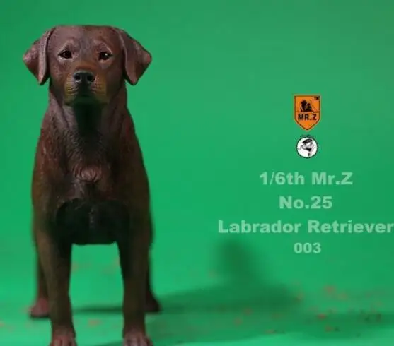 003 DOG MRZ025 1/6 Масштаб модели животных сцена acc 4 вида цветов Mr. z № 25 ретривера Лабрадора собачьи игрушки модели 001/002/003/004 для коллекции - Цвет: 003 DOG