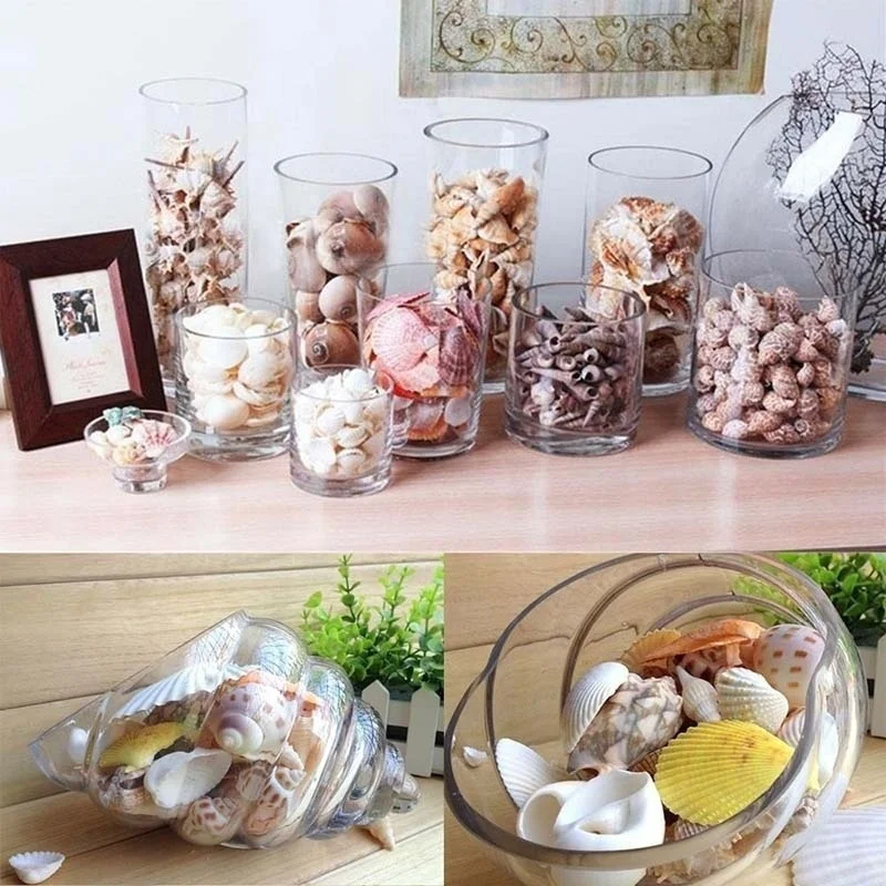 30 шт./пакет Mix Аквариум Пляж морской DIY ракушки смешанные россыпью прибл. 100 г