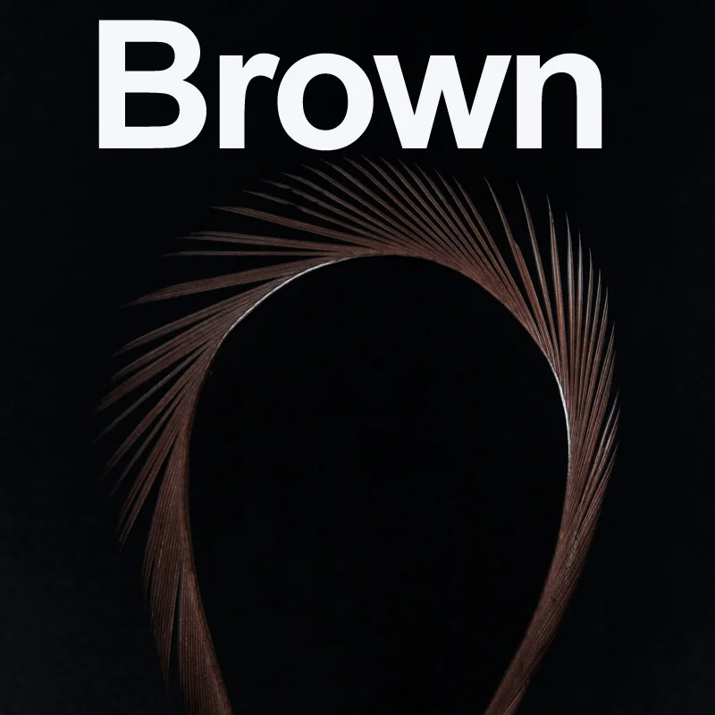 12pcs brown 12 шт. гусиный биос перо Beadhead Prince Nymph Tail крыло чехол Камень мухобойка Материал Черный Белый Коричневый Красный зеленый красный синий - Цвет: 12pcs brown