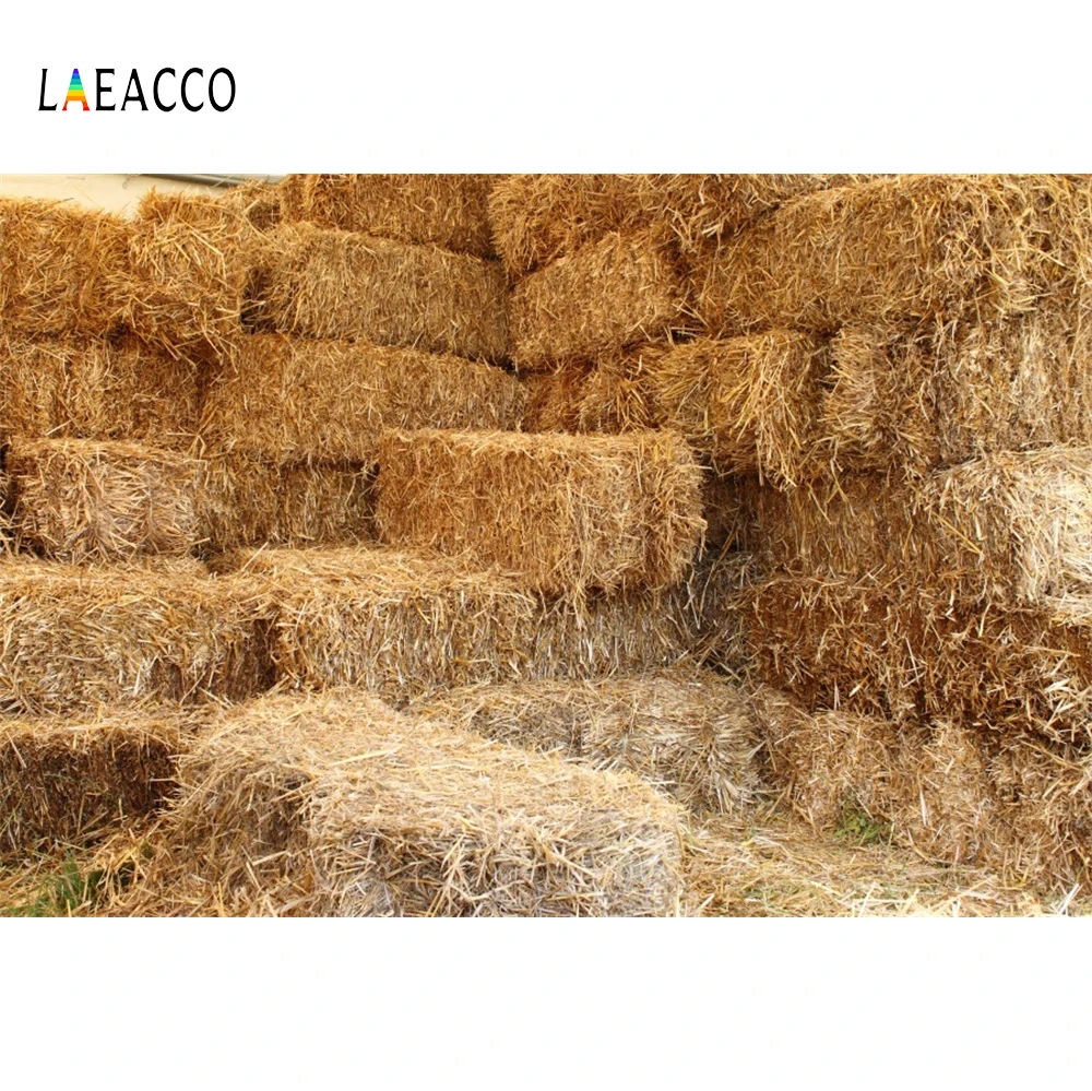 Фотофоны Laeacco Haystack Granary для детской портретной съемки фотографические фоны
