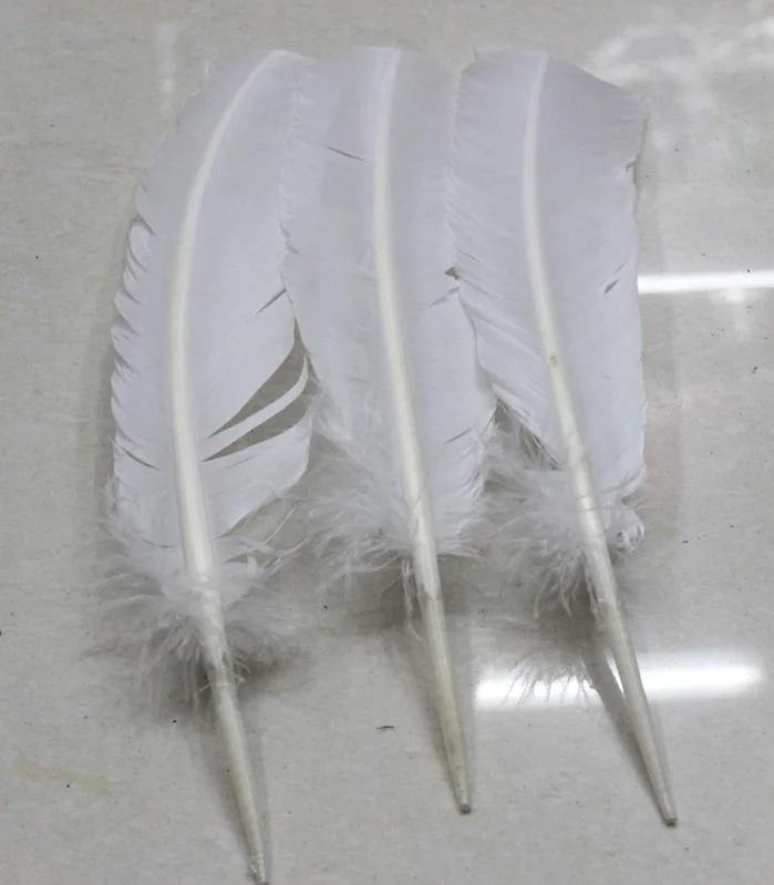 

25-30cm 50pcs/lot pure white swan 10-12inch goose feather plumes party hat decorations Turkey feather