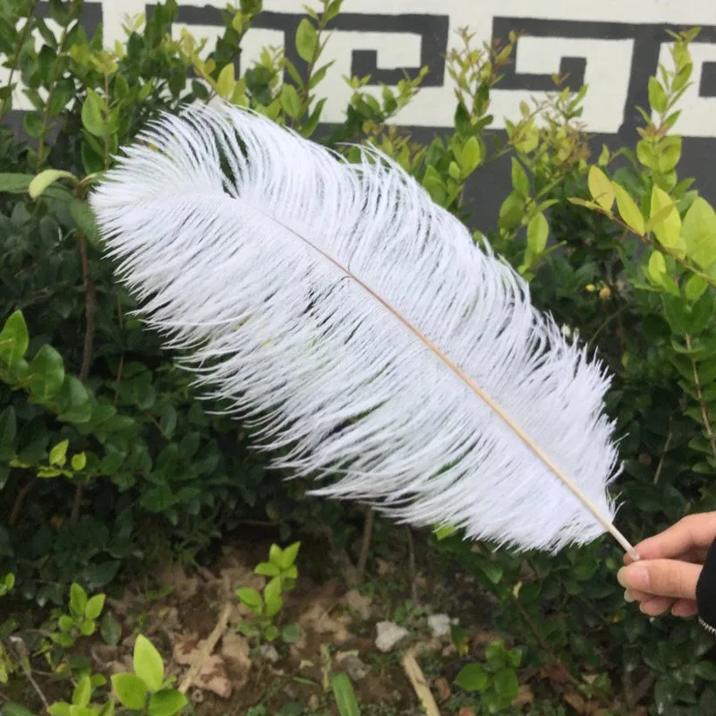 free shipping!50 PCS/lot beautiful Red ostrich feather 40-45 cm / 16 to 18 inches Wedding feather body Ostrich plumage
