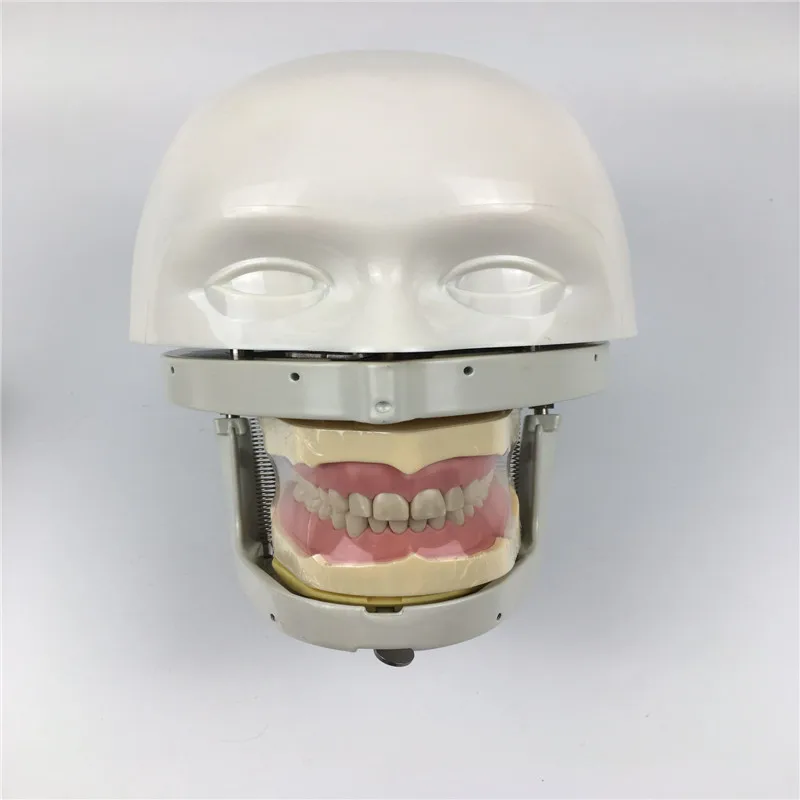 NISSIN Dental manikins фантомная головка модели для стоматологического образования