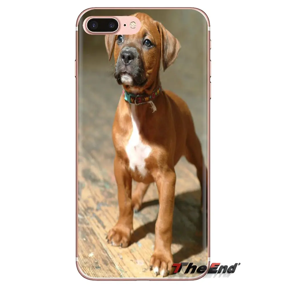 Прозрачные мягкие чехлы для iPod Touch Apple iPhone 4 4S 5 5S SE 5C 6 6S 7 8 X XR XS Plus MAX Rhodesian Ridgeback Dog |