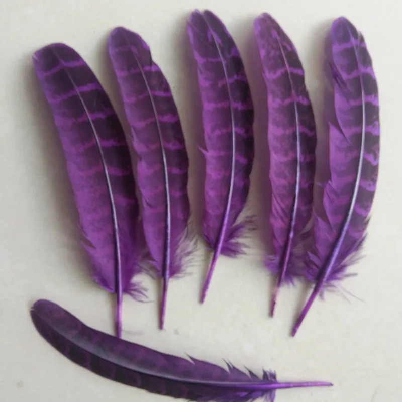 purple 10 шт. натуральное качество женские перья фазана, 4-6 дюймов/10-15 см в длину, diy украшения декоративные аксессуары - Цвет: purple