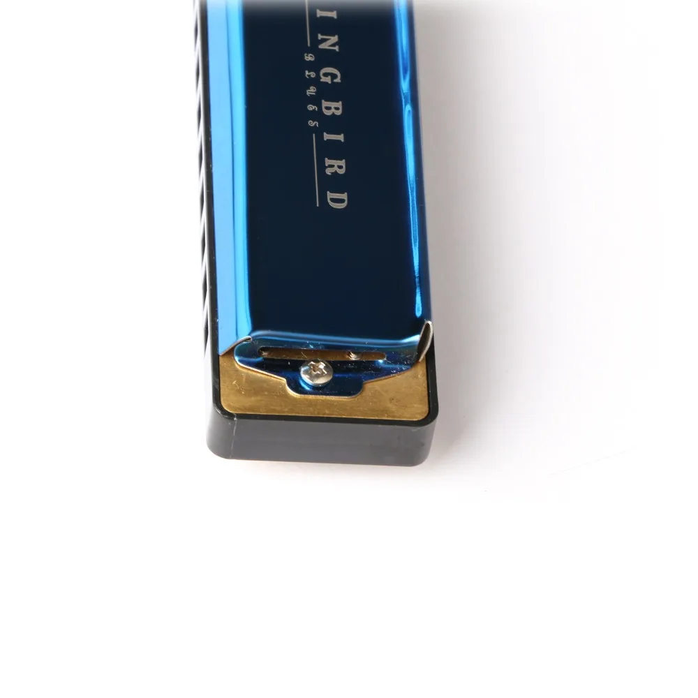 Профессиональные 10 hole diatonic blues harmonica C tune доступны три цвета|Губная гармошка| |