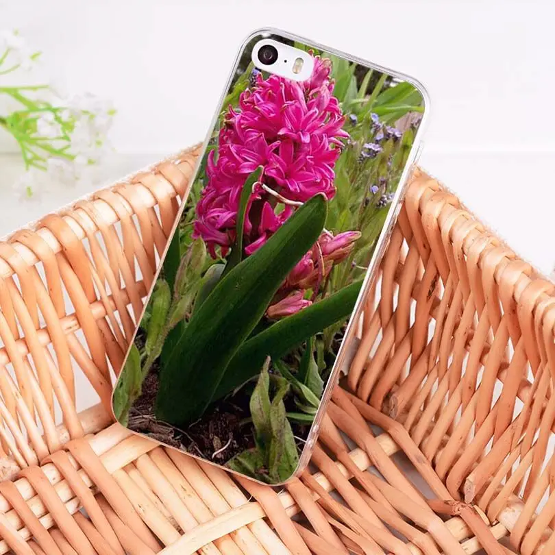 MaiYaCa Hyacinthus orientalis L прозрачный мягкий чехол для телефона из ТПУ iPhone 8 7 6 6S Plus X 5 5S SE 11pro