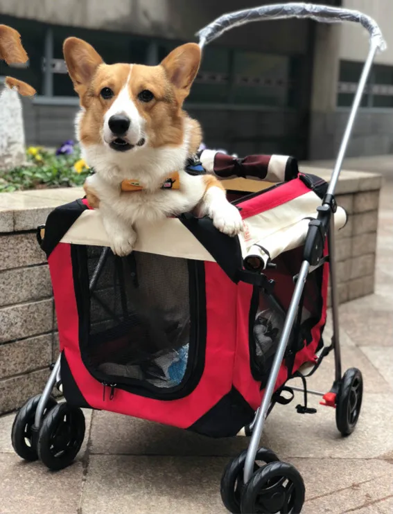 KAWEIDA Складная коляска для домашних животных Спиннер багажа чемодан кошек и собак