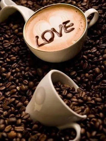 V7988 Evershine Diamond Embroidery Full Display Diamond Mosaic Picture Of Rhinestones Paint Diamond Painting Coffee Cross Stitch Kit - Цвет: V7988