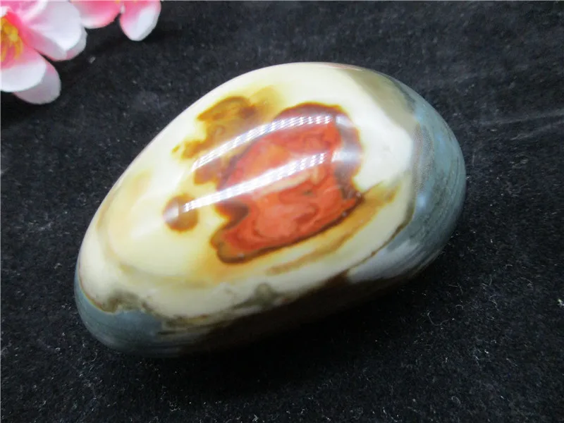 Natural Madagascar Marine Stone Ocean Jasper Teaching Material Minerals Collection | Дом и сад