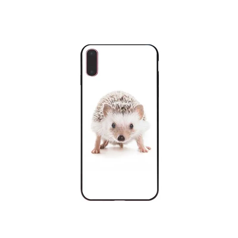 Милые животные Ежик мягкий чехол для мобильного телефона Apple iPhone 7 8 6 6S Plus X XS Макс 5
