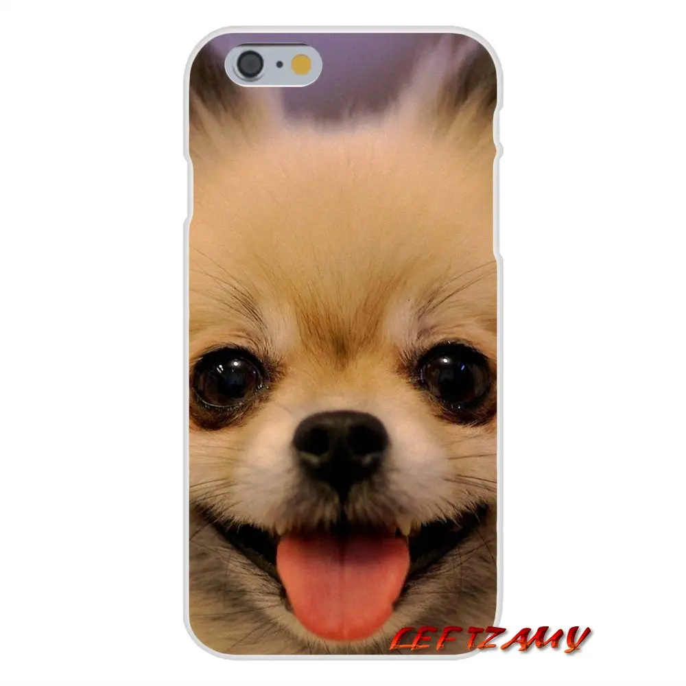 Аксессуары для телефона Чехлы iPhone X 4 4S 5 5S 5C SE 6 6S 7 8 Plus синий нос Pitbull Pomeranian DOG |