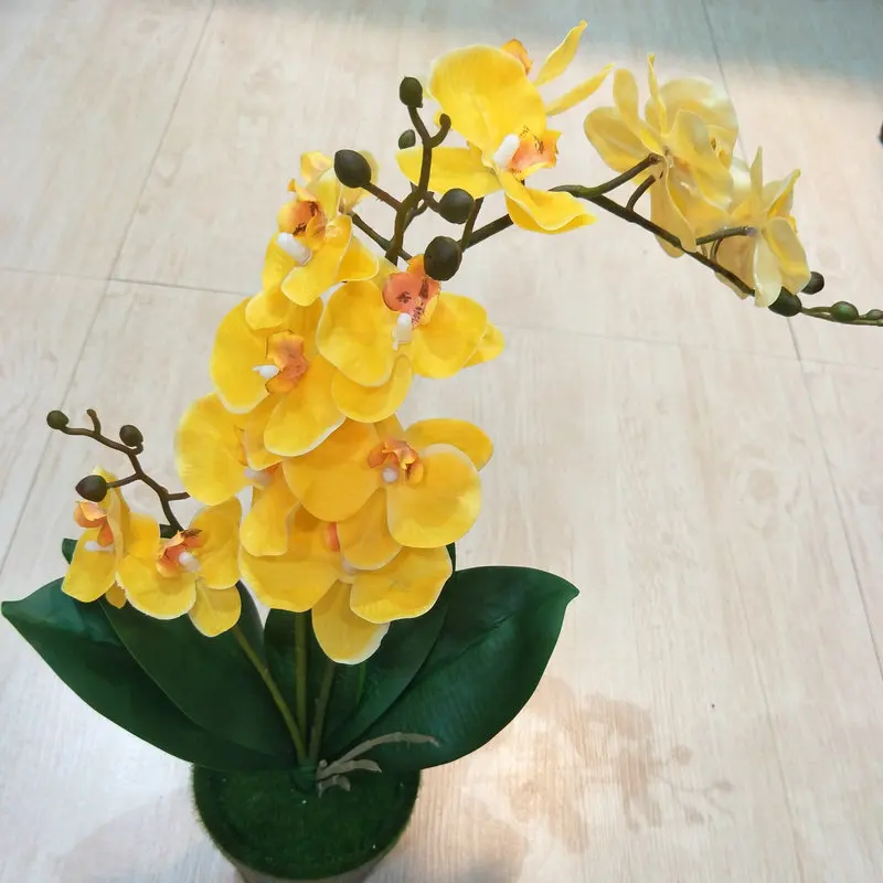 JAROWN искусственный настоящий сенсорный латексная бабочка Орхидея Флорес 3 ветка 15 головная повязка лист искусственный цветок для свадьбы декор украшения дома