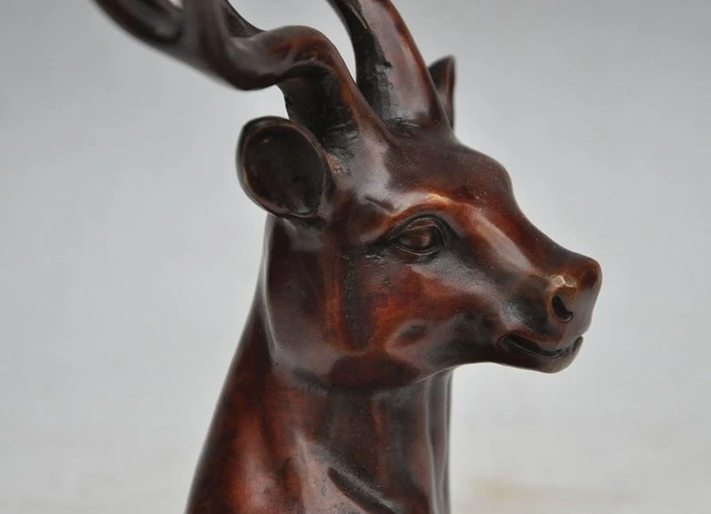 9 &quotКитай Китайский Фэншуй Бронзовая медь Сика олень бюст Голова Статуя