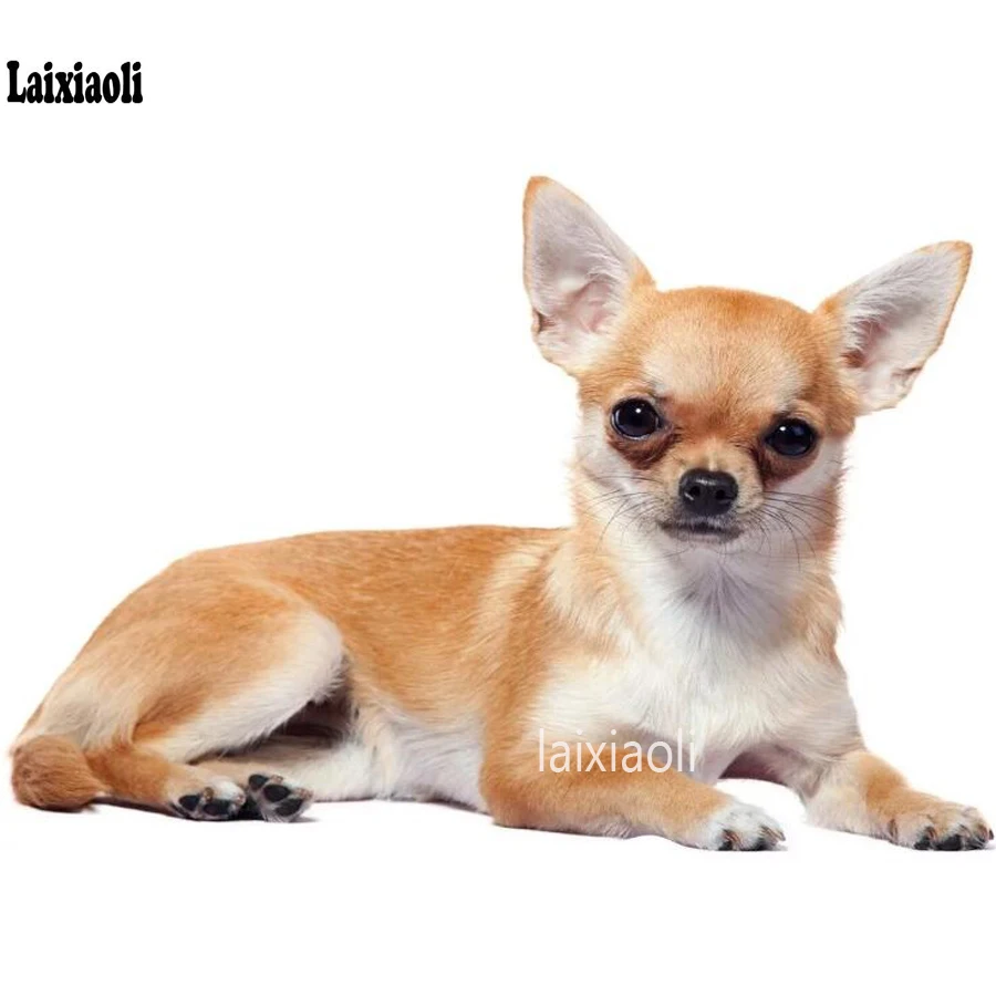 

Cute pet Diamonds Painting Full Diamonds Rhinestone Cross Stitch chihuahua dog DIY Mosaic 3d embroidery crystal Drill home decor